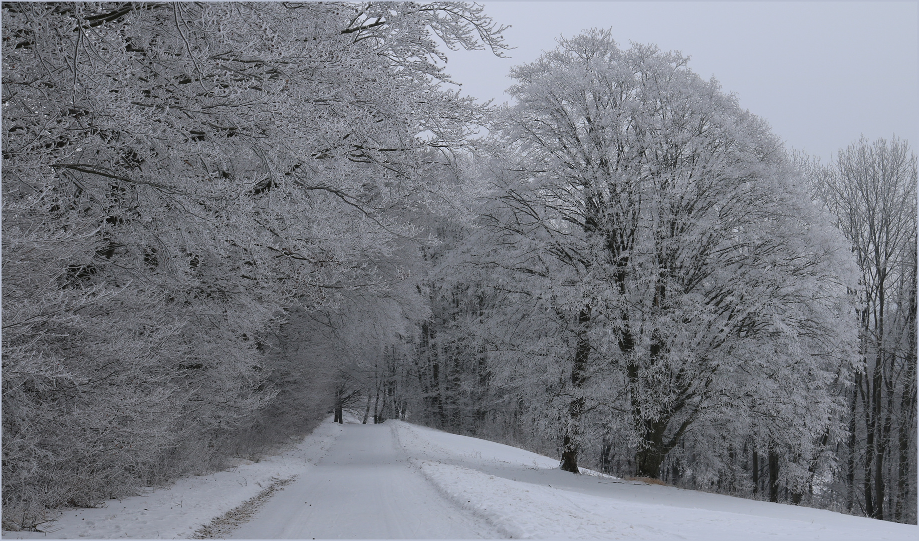 Boßler - Winter 6