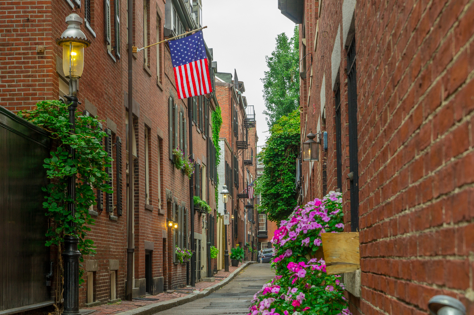 Boston - Cedar Lane Way