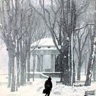 Boston Common In Snow Storm