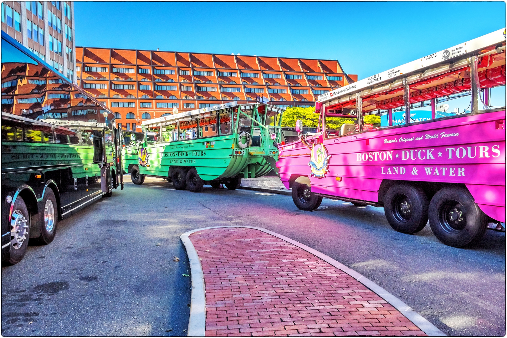 Boston Duck Tours