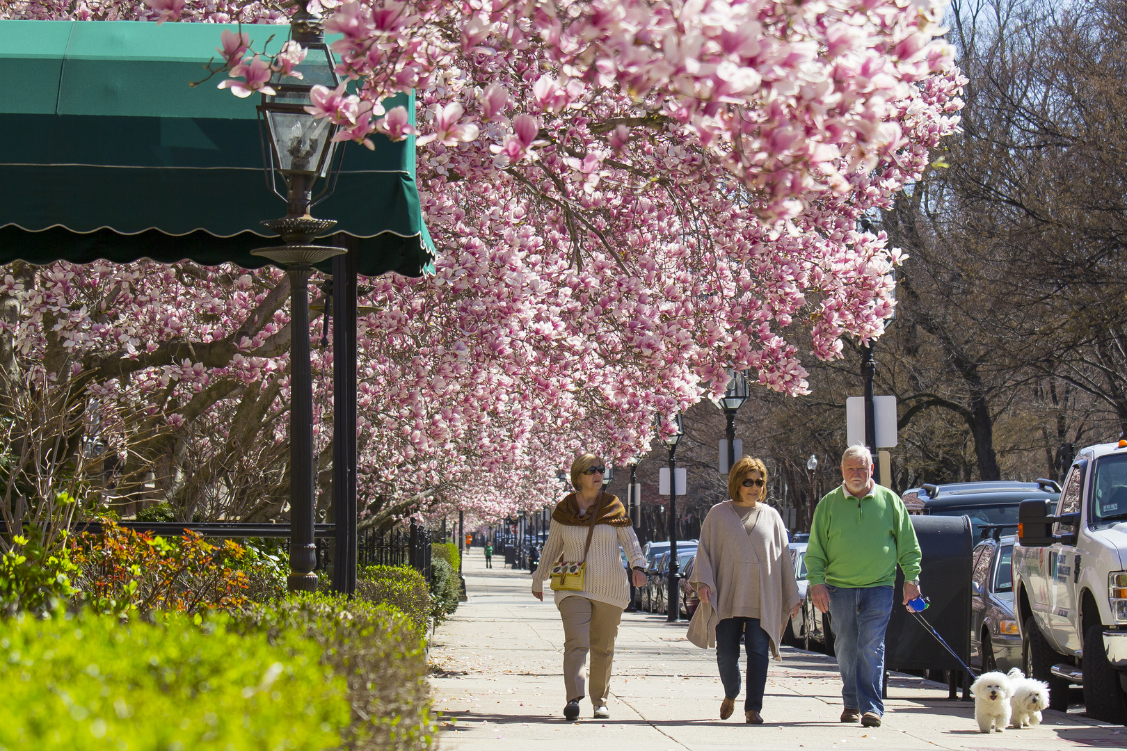 Boston in Spring