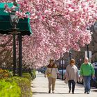 Boston in Spring