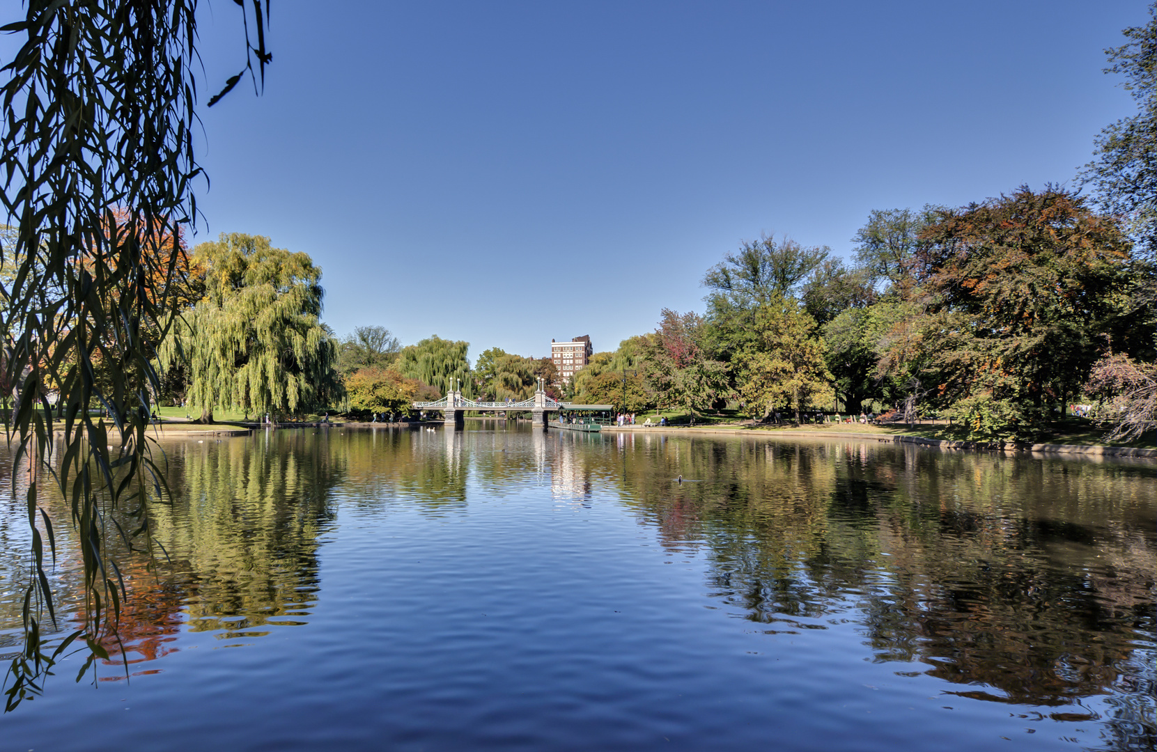 Boston - Public Garden 01