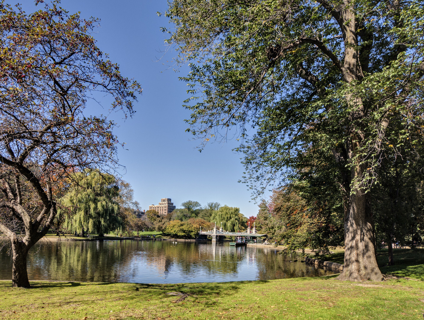 Boston - Public Garden 02