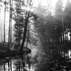 Boswiler Weiher bei mystischer Herbststimmung 