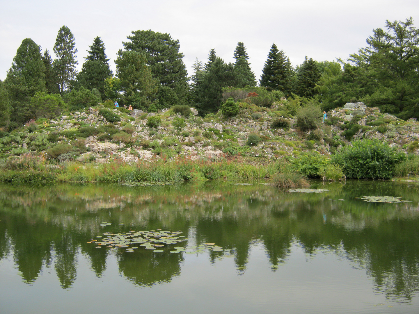 Bot. Garten München 2014-Alpinum