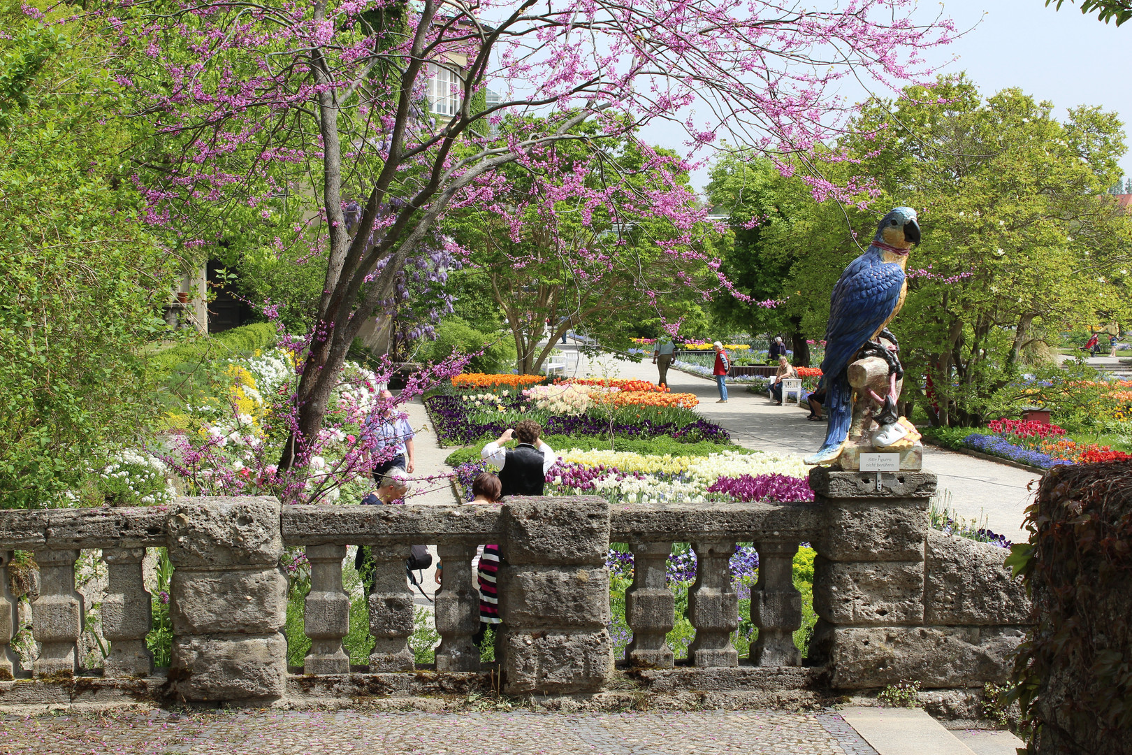 Bot. GartenSchmuckhof I Foto & Bild münchen, natur