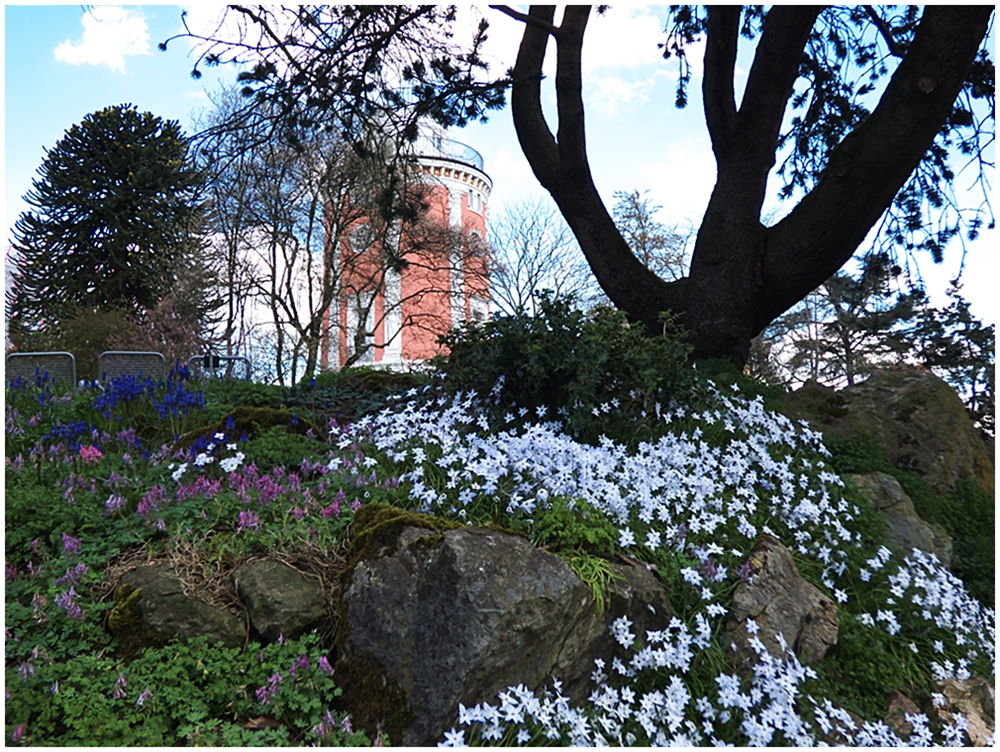 Bot. Garten WuppertalElberfeld Foto & Bild landschaft, garten