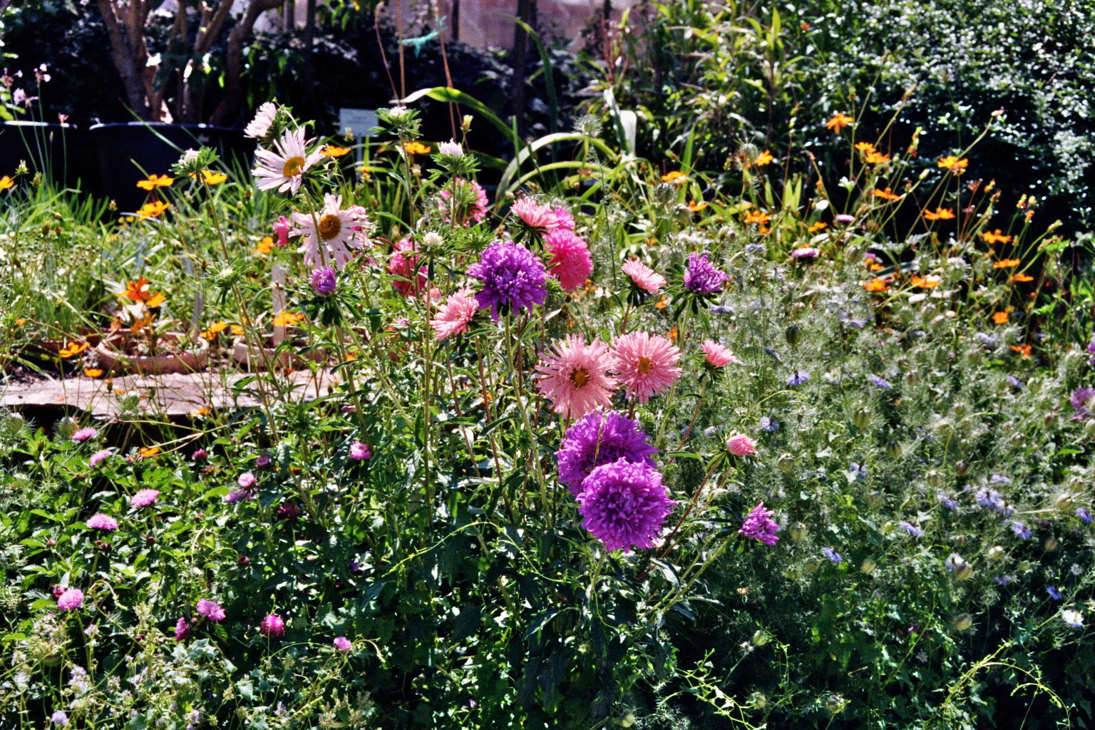 Botan. Garten Graz