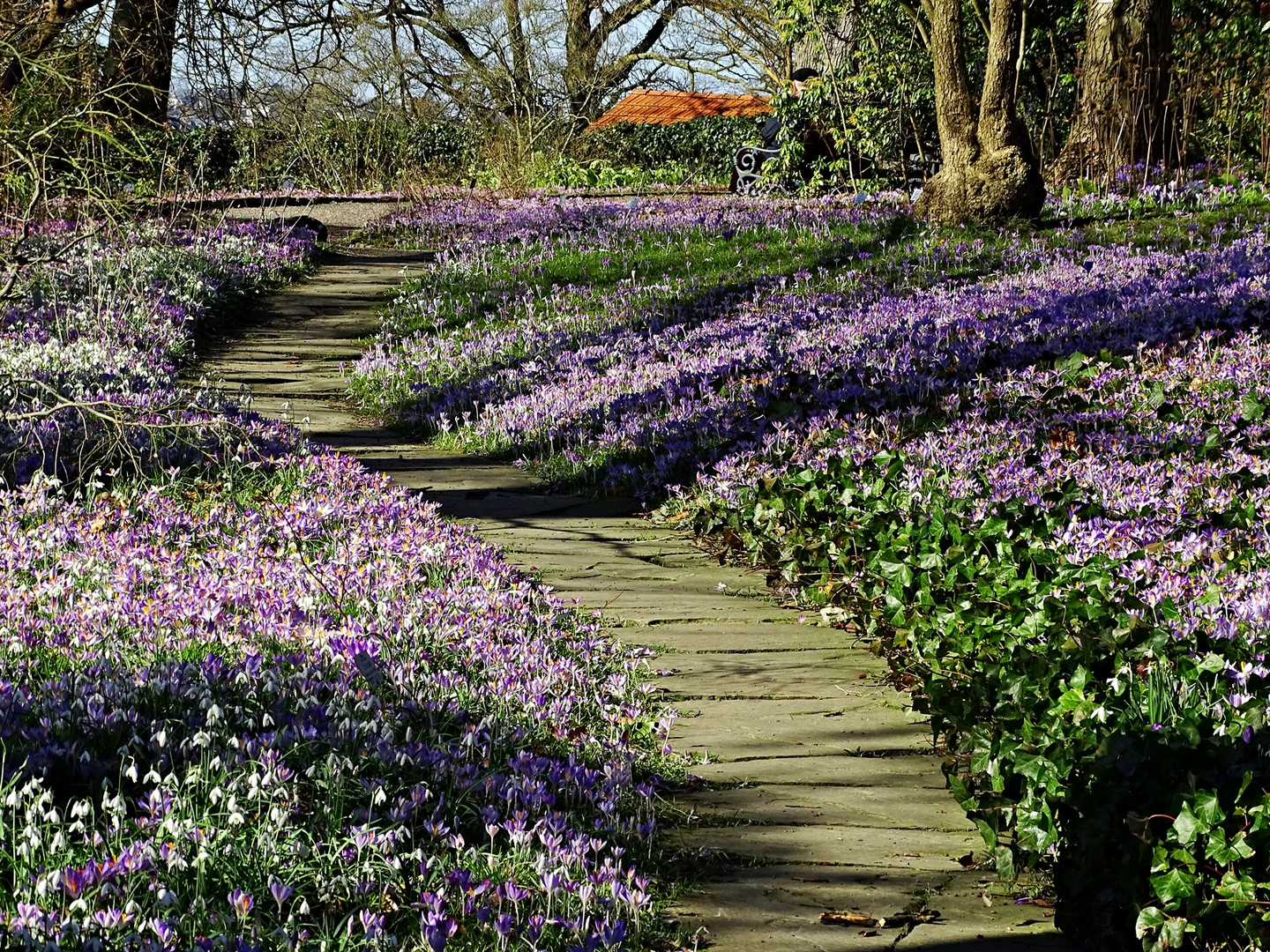 Botan. Garten Wuppertal - 23.2.2022 - 