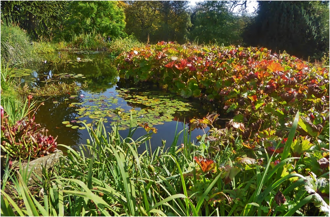 Botan. Garten Wuppertal