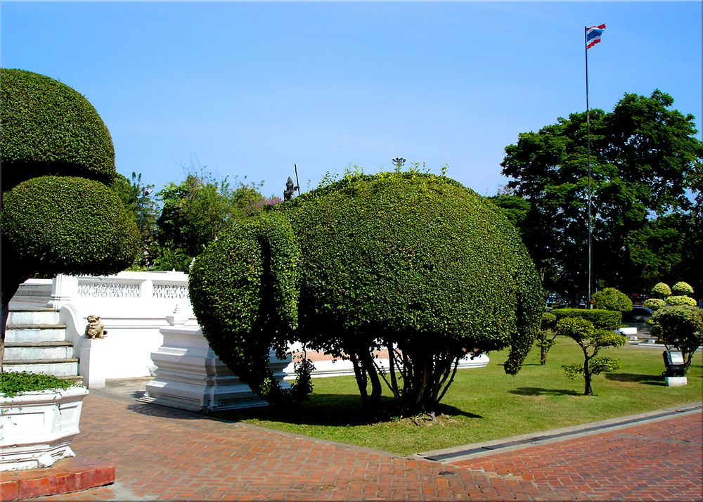 Botanic Elephant