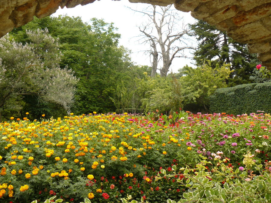 Botanic garden - Balchik