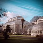 Botanic Garden, Dublin