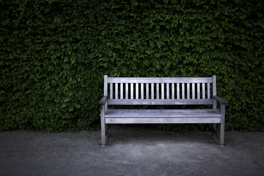 Botanic Garden - Park Bench