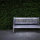Botanic Garden - Park Bench
