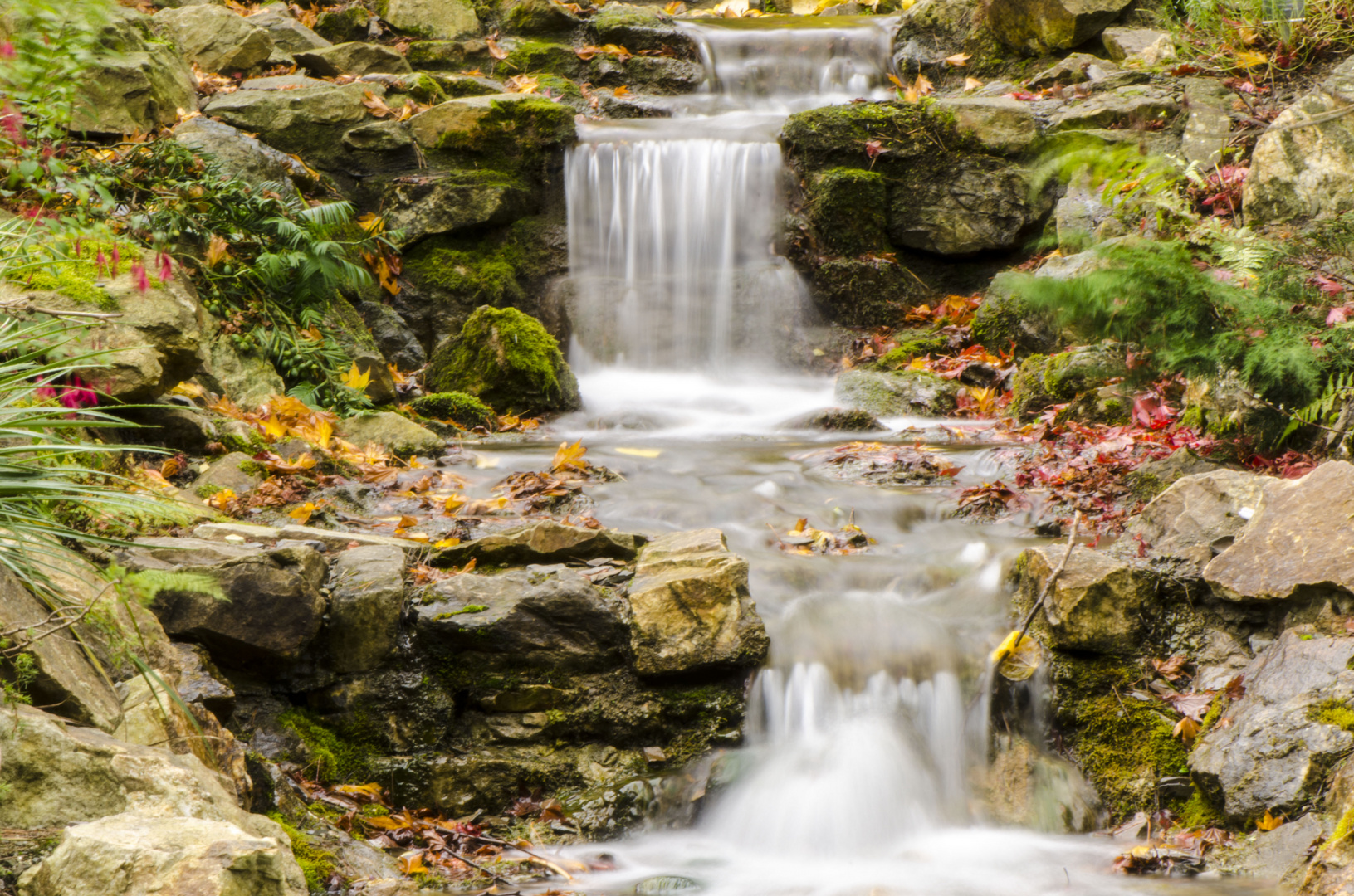 Botanic Gardens Dublin Waterfall