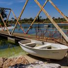 Botanicactus Ses Salines, Mallorca