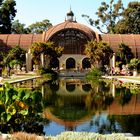 Botanical garden at Balboa parc