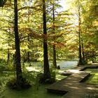 Botanical Garden, Bochum