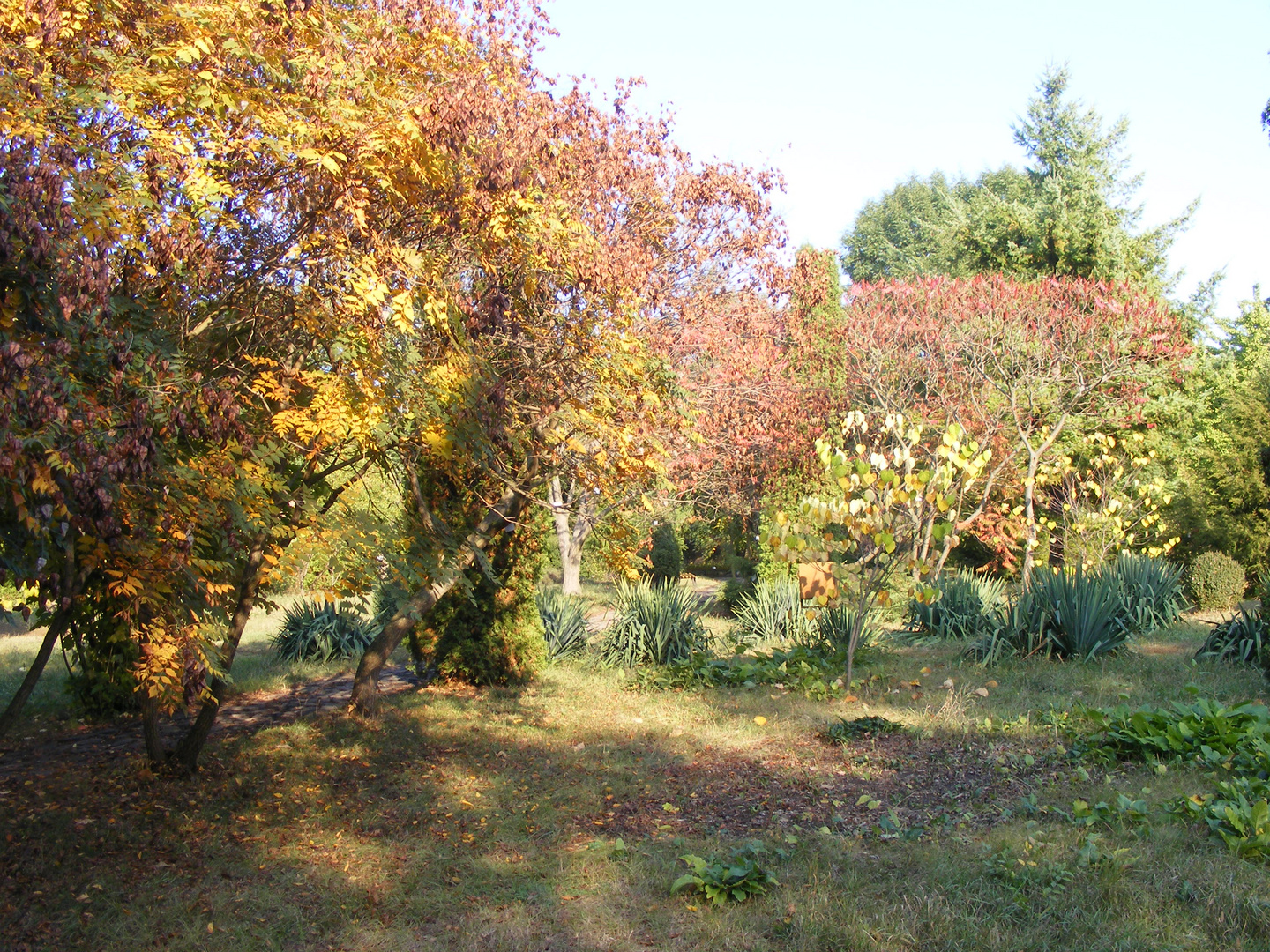 botanical garden , iasi