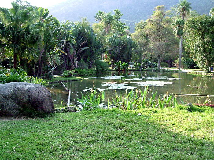 Botanical Garden in Rio de Janeiro