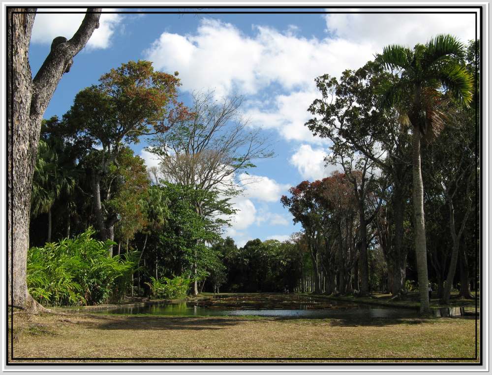 Botanical Garden of Pamplemousses