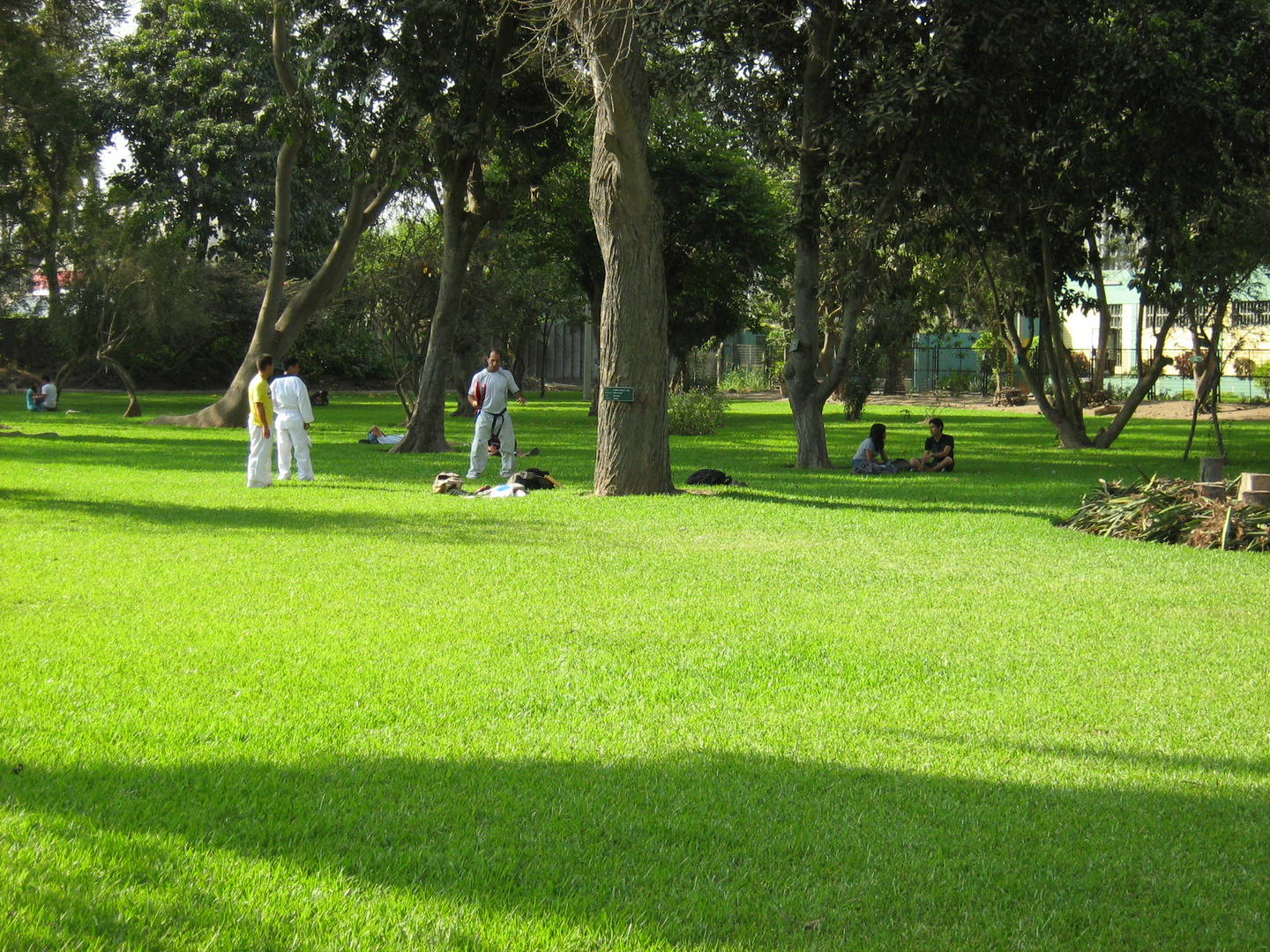 Botanical Garden of the Universidad Agraria La Molina Lima Peru