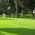Botanical Garden of the Universidad Agraria La Molina Lima Peru