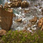 Botanical Garden Spain (birdview onto cliffs, still from my movie)