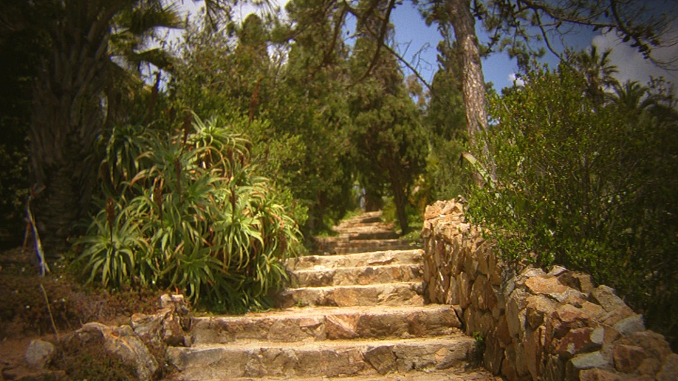 Botanical Garden Spain (still from movie)