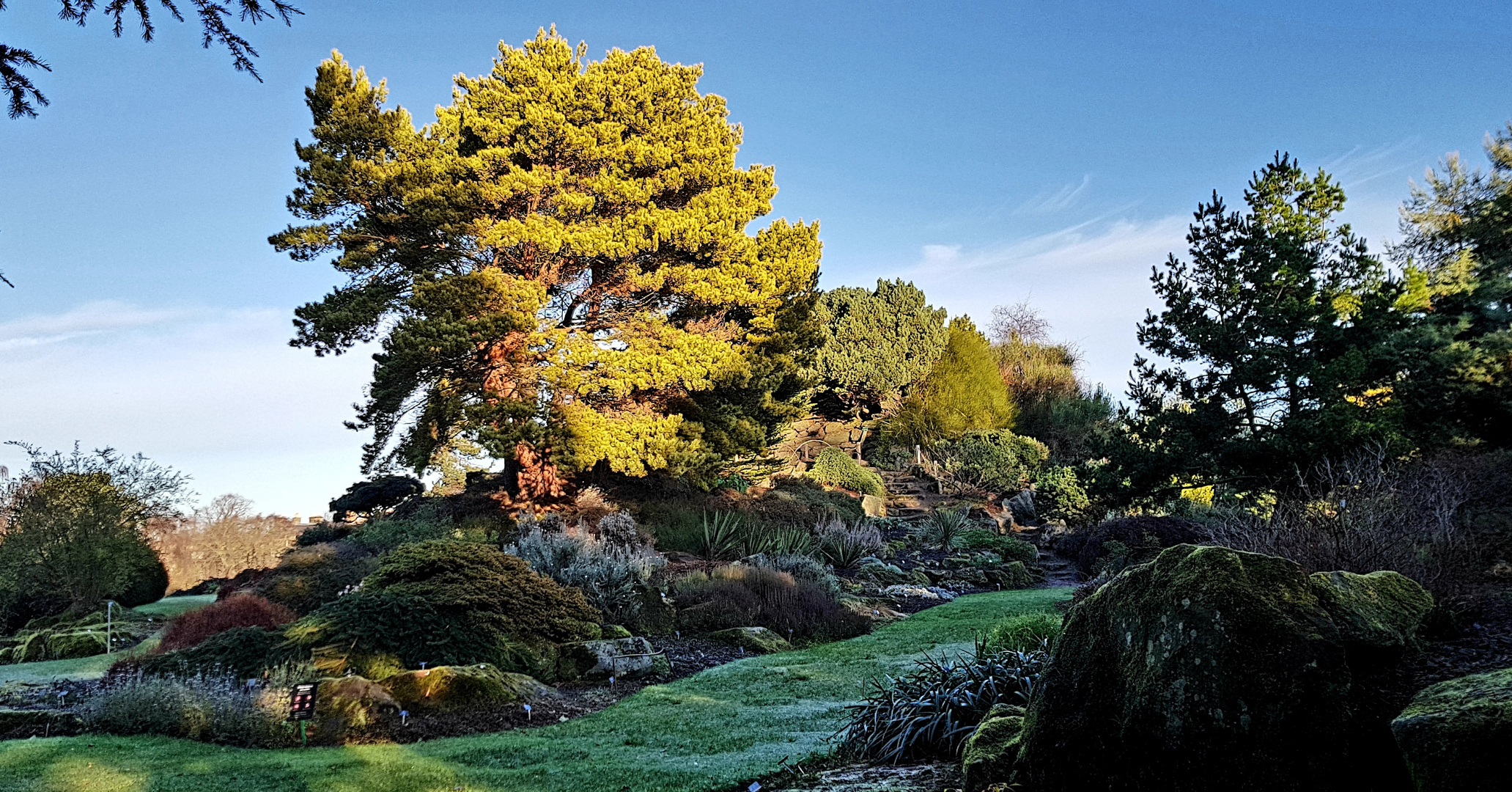 Botanicgarden Edinburgh