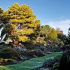 Botanicgarden Edinburgh