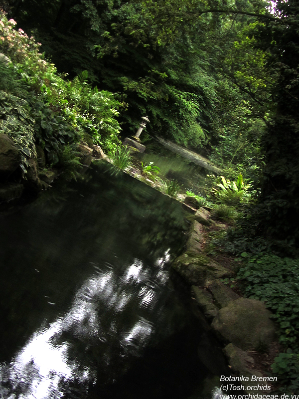 Botanika-Rhododendronpark