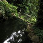 Botanika-Rhododendronpark