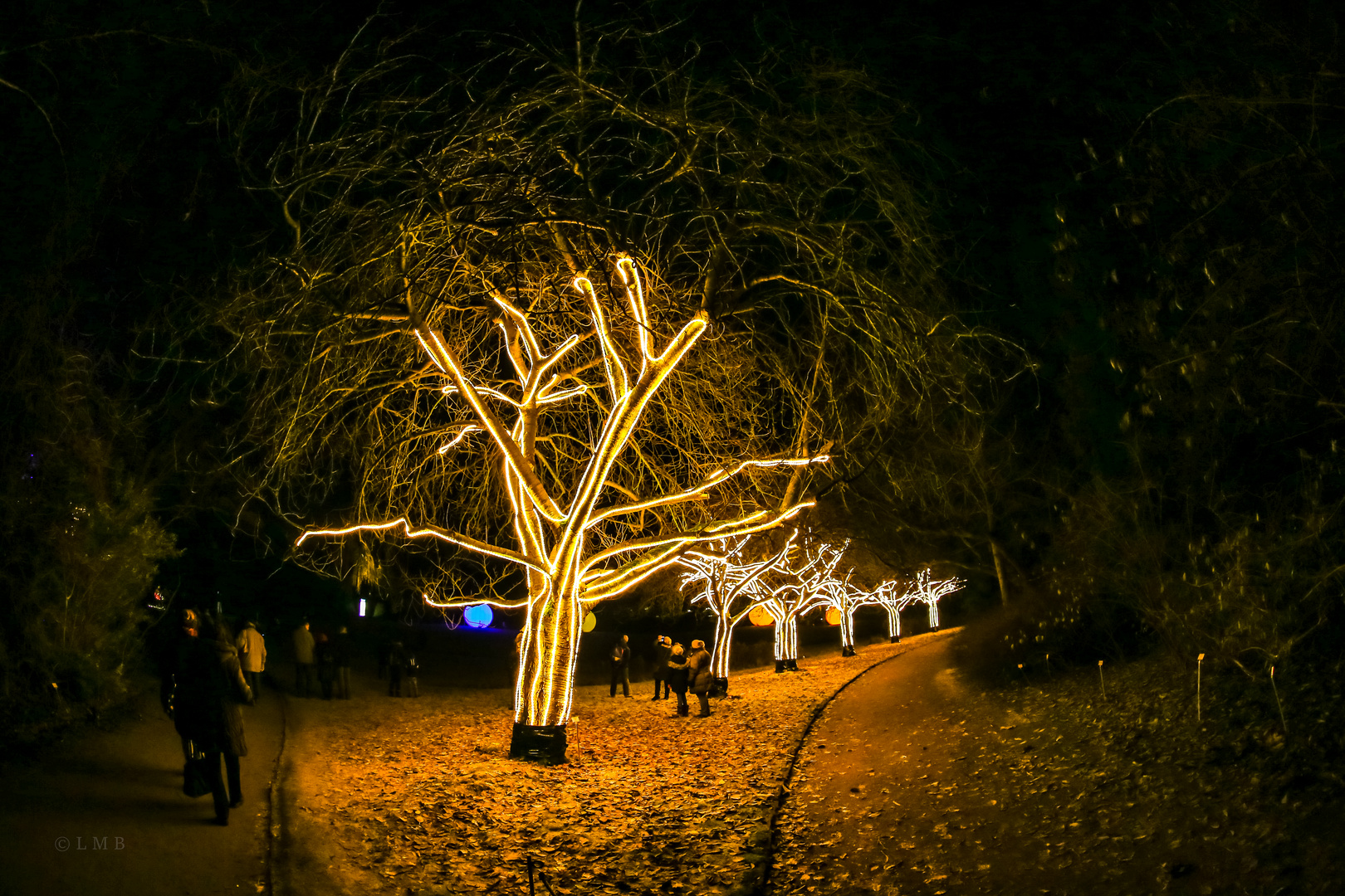 Botanische Garten-Beleuchtung