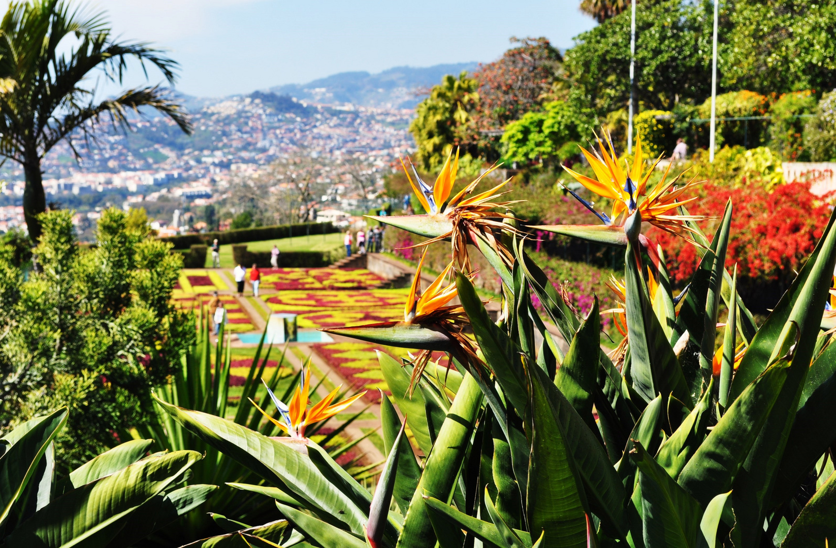 Botanische Garten Funchal