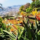 Botanische Garten Funchal