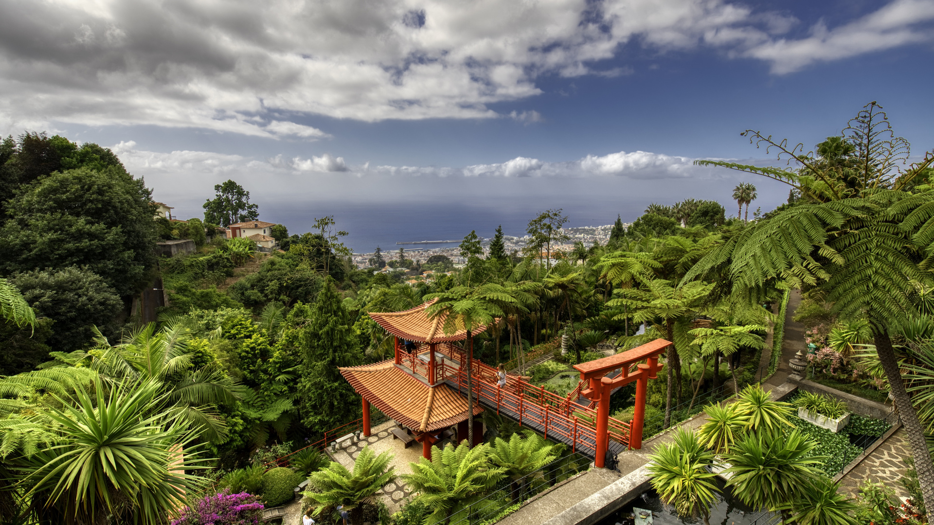 Botanische Garten Funchal Foto & Bild europe, portugal
