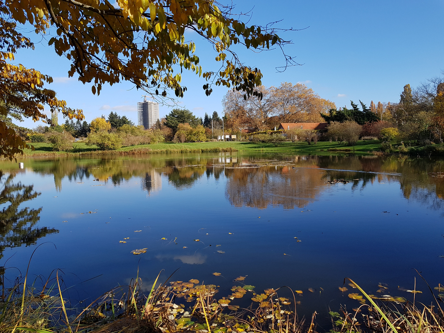 Botanische Garten in Berlin 