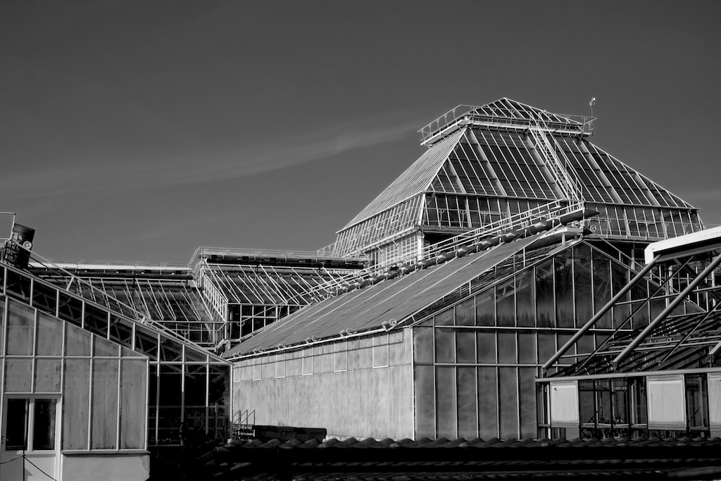 Botanische Garten Munich