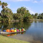 Botanische Garten und Kunst in Miami