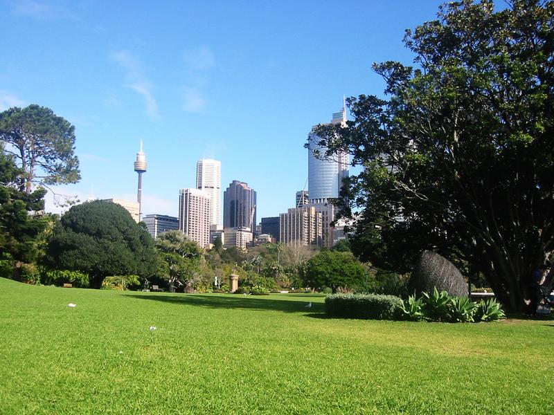 Botanische Skyline