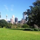 Botanische Skyline