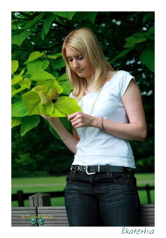 Botanische Studien