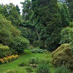 Botanischen Garten.