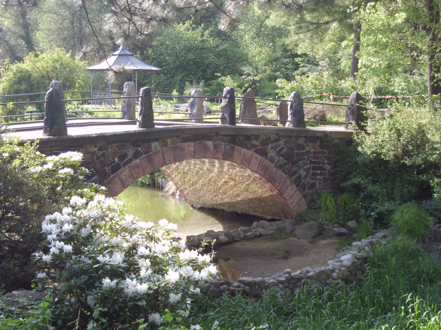 Botanischen Garten Berlin