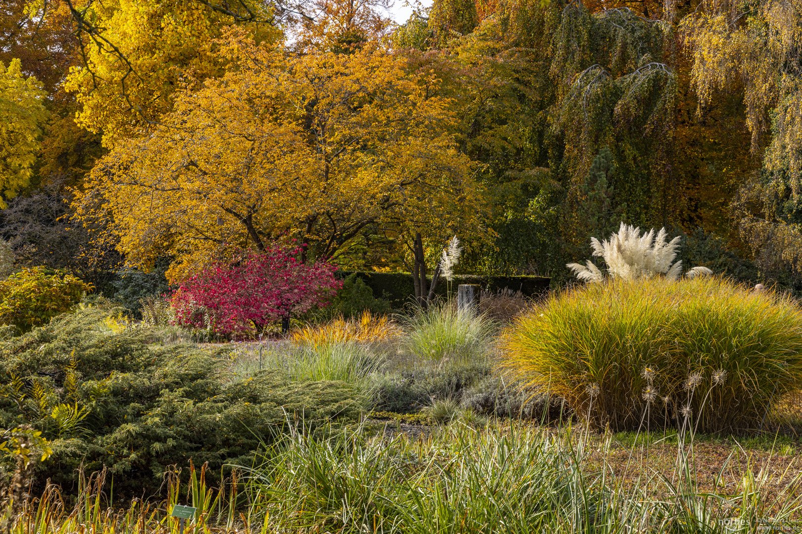 Botanischen Garten im Herbst