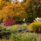 Botanischen Garten im Herbst