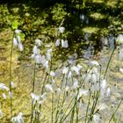 botanischer Garten 02-DSC_5083